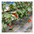 Commercial agricultural turnkey film hydroponic greenhouses